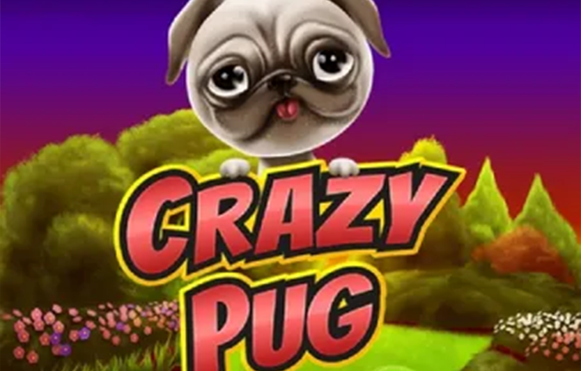 Игровые автоматы Crazy Pug